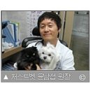 저스트벳 동물병원 이미지