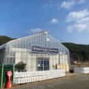 광주농협 로컬푸드직매장 동광주점 | 힐링 플라워 스마트 팜 광주농협 로컬푸드 직매장 하나로마트 동광주점 광주 가볼만한 곳 추천