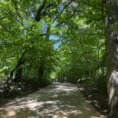 허덕교 화장실 이미지