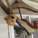 소소산방 이미지