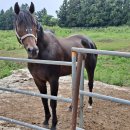 신원목장 이미지