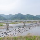 천도리양지마을 이미지