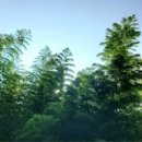 사환2길 이미지