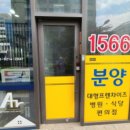 수정-113 이미지