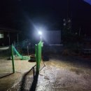 대성미곡 이미지