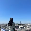 갤러리 라파예트 오스만(Galeries Lafayette) / 파리 라파예트 백화점, 셀린느, 프라다, 파리 명품 쇼핑