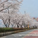 원지강변로 이미지