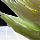 오렌지한의원 이미지