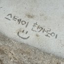 스테이한가로이 이미지