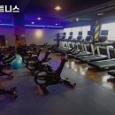 볼트짐휘트니스 이미지
