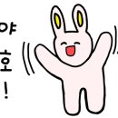 대한미소황소곱창 이미지