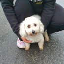 어양중학교 이미지