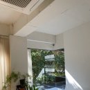 능안말길 5 | 내돈내산 요가 프로필 촬영 후기 (날짜, 비용, 결과물)