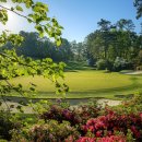 오거스타 골프클럽 이미지