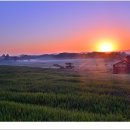 일출목장 이미지