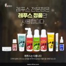 레푸스 경대점 이미지