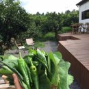 호박여관 이미지