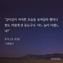 bl 언급 잘 없는 벨 모음 추천 끌올 (썸딜ㅇ) 이미지