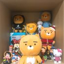 라이언리미티드 이미지