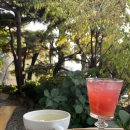 뜰과풍경 이미지