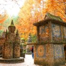 여기가 한국의 앙코르와트라고요… 여의도 공원의 5배 넘는 규모 이미지