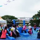 제주의 제주마 이미지