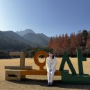 회성동새마을문고 | 대구구미 안녕하시소 [대구/구미 여행]