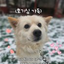 빅콩