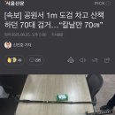 속보) 파주 공원서 1m 도검 차고 산책하던 70대 검거 (칼날만 70cm) 이미지