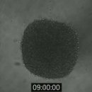 우일메딕스 이미지