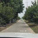 이포보강변펜션