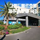 그랜드메르호텔 제주 | &lt;그랜드메르호텔&gt;제주 서귀포 중문 논짓물 도보 5분 숙소/이용후기 장단점 정리