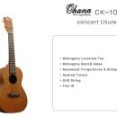 오하나(OHANA) 이미지