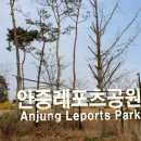 안중레포츠 공원 체육시설 축구장 이미지