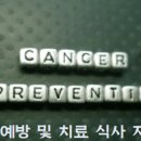 경기도 대형카페 추천 / 해피데이 베어 케이크 구매 투썸플레이스 구리동구릉역점