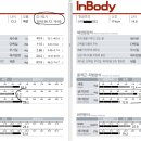 SH 다이어트 복싱 이미지