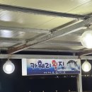 카훼리 | 제주도에서 가장 맛있었던 곳, 월정리 카훼리 횟집 솔직 후기