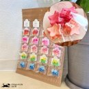 파스텔A 이미지