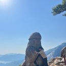 동산,작성산 산행, 등산코스 : 무암사 - 남근바위 - 성봉 - 동산 - 작성산 - 쇠뿔바위 - 무암사 원점회귀