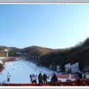 양지파인리조트 이미지