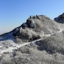 눈과 함께 이미지