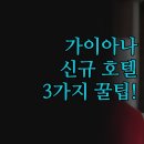 호텔미즈 | 2024년 신규 오픈 로열 인터내셔널 호텔 후기 | 공항 마리오트 미즈 빌라까지 꼭 알아야 할 3가지 꿀팁...