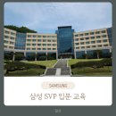 삼성 SVP 뭐하는 걸까? (삼성생명 휴먼센터/인력개발원 창조관/준비물/셔틀/출퇴근)