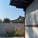 금산다락 티스토리