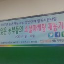 낙안초창녕분교장 | 밤을잊은농부들순천준밤농스터디을.꿀짱김용근교수님강의을하고계심니다