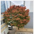 엘당구클럽 이미지