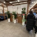 홈플러스(주) 의정부점 | [의정부 홈플러스 맛집] 블루레일: 쿠우쿠우에서 만든 회전초밥,가격,이용방법,장단점 내돈내산