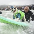 도그미 뉴시스