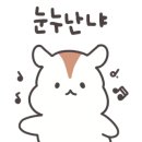 안채삼계점