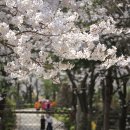 버들농원 이미지